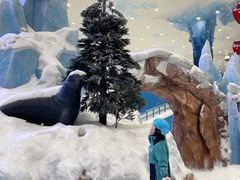 -长沙湘江冰雪世界