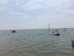 -碧海金沙