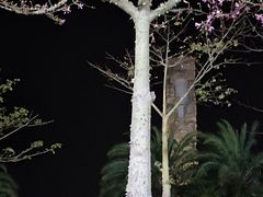-亚龙湾中心广场
