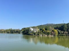 -森波拉奇妙世界