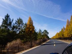 -塞罕坝国家级自然保护区