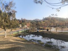 -东莞植物园