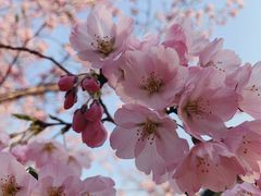 -秋栗香(地安门店)
