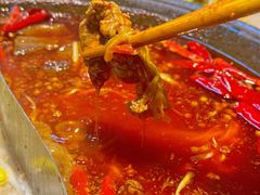 -阳阳老火锅(小南门店)