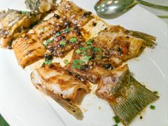 -顺峰顺水顺德菜(第一百货店)