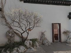 -南京市民俗博物馆(甘熙故居)