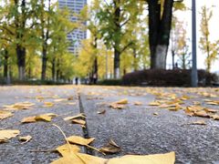 -百林公园-两江幸福广场