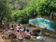 -广州白江湖森林公园