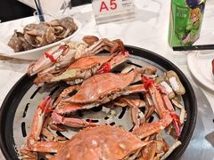 -半岛听涛蒸汽海鲜自助(K11店)