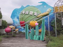 -上海都市菜园