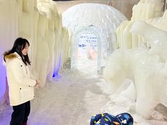 -宁波冰雪大世界(北仑区)