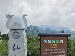 -王莽岭风景区