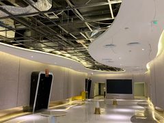 -保定金棕榈先天下国际影城(LUXE)