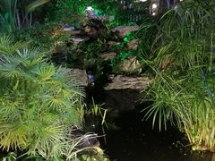 -聚缘·湘味音乐餐厅party(罗湖店)