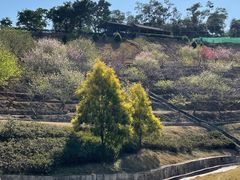 -双龙潭生态运动景区