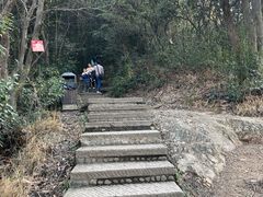 -十里琅珰