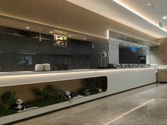 -金熊猫川菜餐厅