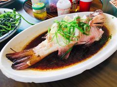 东星斑-八方海味餐厅