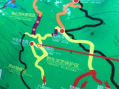 -呀诺达热带雨林
