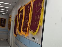 -中农国际动物医院24小时·猫科·骨科·急重症中心