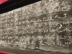 -苏州文庙(姑苏区)