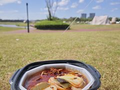 -春花秋色城市公园