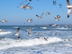 -威海国际海水浴场旅游区