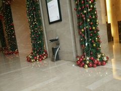 -常州环球恐龙城维景国际大酒店