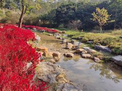 -黄埔油麻山森林公园