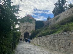 -布拉迪斯拉发城堡