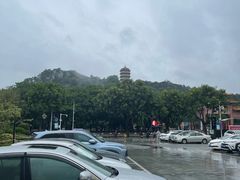 -福神岗公园