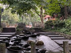 -成都市活水公园