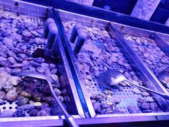 -韩盛·盛江山自助料理(奥体万达店)