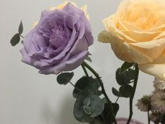 -循礼门鲜花花市(武汉循礼门店)