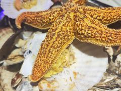 -日鲜码头·海鲜烧烤