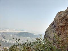 -树山生态村