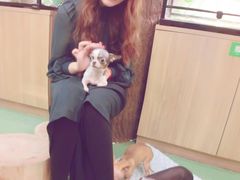 -藦茜花园宠物主题亲子互动体验馆(国顺东路店)