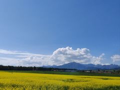 -扁都口生态休闲旅游区