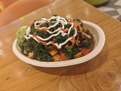 -油梨树 AVOCADO TREE(亮马桥店)
