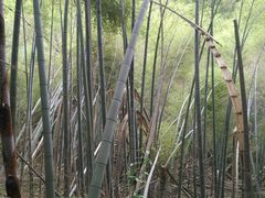 -会稽山峡洞漂流-上青古道