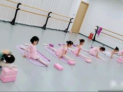 -中央芭蕾舞团·中芭艺蕾(酒仙桥明星校区)