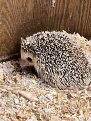 -Zoolung Zoolung动物主题公园(海信广场店)