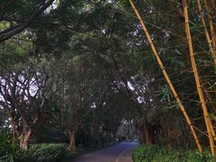 -深圳国际园林花卉博览园