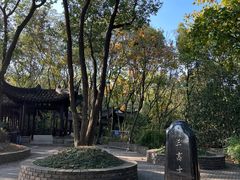 -上海佘山国家森林公园天马山园