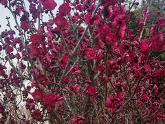 -艾山风景名胜区