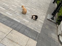 -思南公馆