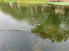 -后海公园