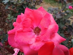 -人民公园(罗湖区)