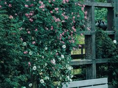 -游子山休闲旅游区