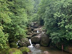 -龙苍沟森林公园